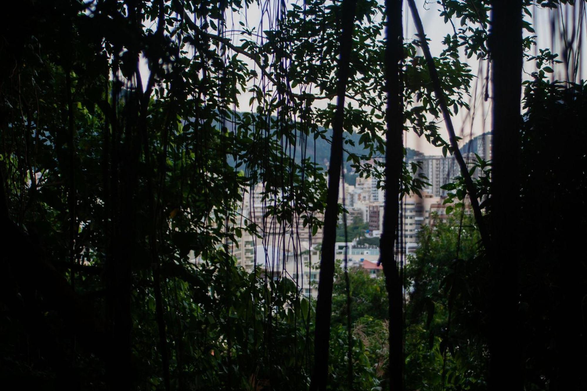 Quintal Oceano * Río de Janeiro